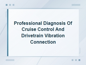Cruise Control Drivetrain Vibration Diagnosis and Professional Troubleshooting Guide